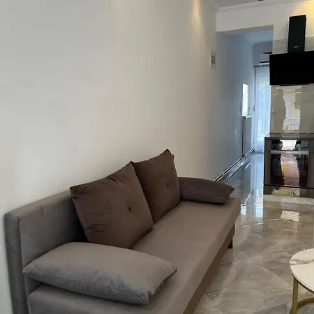 Modern & Comfortable House *